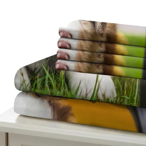 Housse de couette caniche mignon cadeau idéal anniversaire ado