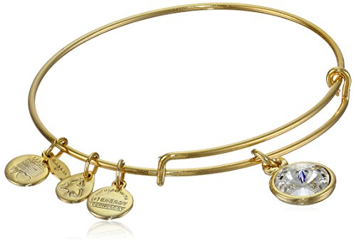 Alex and Ani 