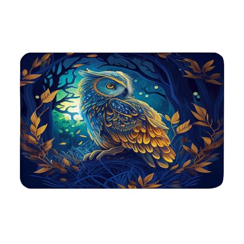OOZ Non-Slip Flannel Soft Doormat Floor Entryways Outdoor Indoor Front Door Mat,A Colorful Blue owl Design Bath Mat,Multicolor