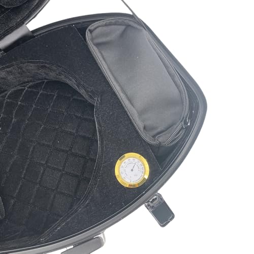 Professional Violin Case Carbon Fiber