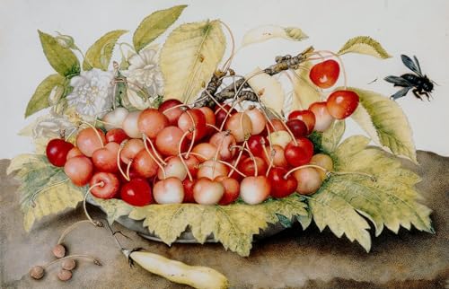 Impression sur toile Giovanna Garzoni affiche cerises bourdons 60x90cm