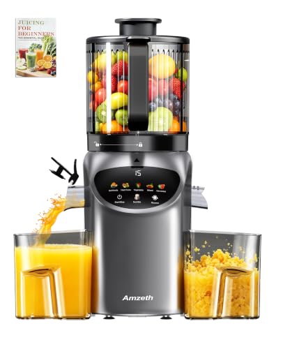Juicer Machines with 6.5' Large Chute,3-in-1 Cold Press Juicer for Whole Vegetables Fruits 450W, Masticating juicer Easy to Clean Juice Extractor Machine for Making Nut Mike, (Premier Space Gray)