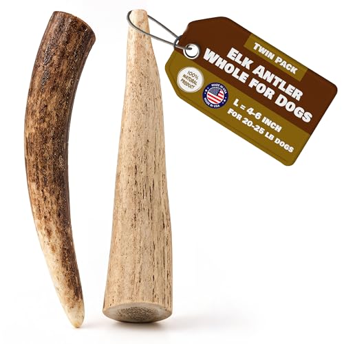 Small Whole Elk Antlers for Dogs | 100% Natural &
