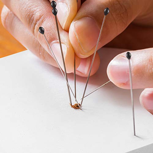 image for WILLBOND Insect Display Case Box Collection Box with Clear Top, EVA F