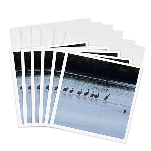 Cartes de vœux blanc lot de 6 pour accompagner vos cadeaux