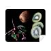 Fresh Fruits Kiwifruit Cherry Picture Cleaning Cloth Screen Cleaner 2pcs Suede Fabric
