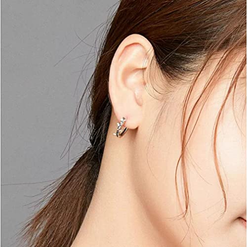 Boucles d'oreilles de bijoux en argent cadeau d'anniversaire idéal