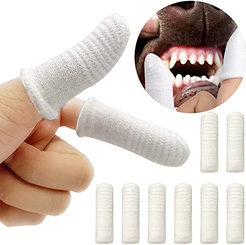 10 spazzolini da denti per cani, riutilizzabili