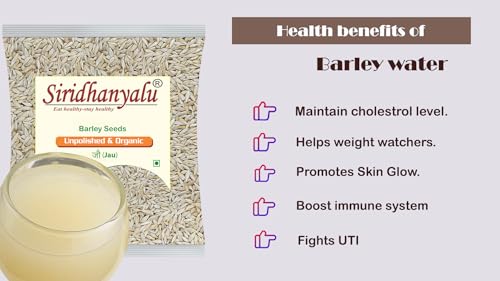 Image of Barley, Jao,it a versatile grain known for its nutritional benefits, comes in organic Vacuumed Pack. Used in jao waters and barley rice, it's appreciated for its whole-grain goodness. It is valued for its affordability, with prices Net Quantity:-450Gm Gwt:-0.5 Kg |Jau | 100% Organic | Grains | High Fiber | Nutrient-Rich | Perfect for Health Boost