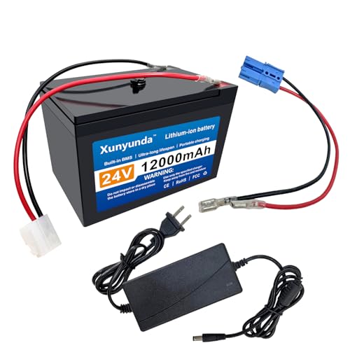 Xunyunda 24V 12Ah Lithium Battery for Kids Ride-On Toys Includes 2A Ch