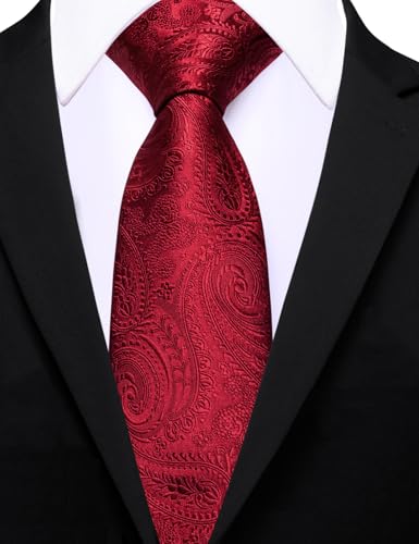 Image of Barry.Wang Paisley Tie for Men Silk Woven Necktie and Tie Clip Set Wedding Party Business Formal