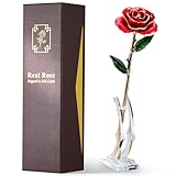 ECO SPACE Gold Dipped Rose - Hand-Dipped Real 24K Gold Rose - Genuine One of a Kind - Eternal Romantic Present for Her - Perfect for Valentines, Mother's Day, Anniversary, Birthday (Red)