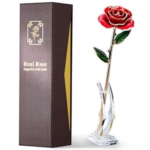 Gold Dipped Rose – Hand-Dipped Real 24K Gold Rose – Genuine One of a Kind – Eternal Romantic Present for Her – Perfect for Valentines, Mother’s Day, Anniversary, Birthday (Red)