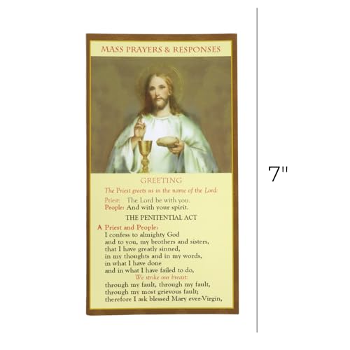 Needzo Bulk Catholic Mass Prayer and Responses Pocket Cards, Laminated Card Stock, 3x7 Inches (Pack of 8)