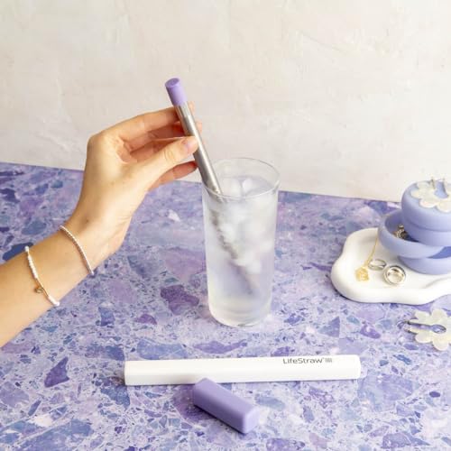 Image of LifeStraw Sip - Reusable Stainless Steel Water Filter Drinking Straw