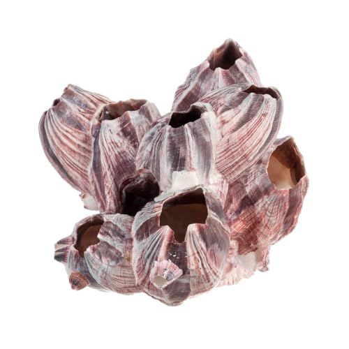 Image of Nautical Crush Trading Real Purple Barnacle Clusters (2 Pack 3-5in) for Saltwater Aquarium Decor, Natural Fish Tank Ornament, Coastal Home Decoration