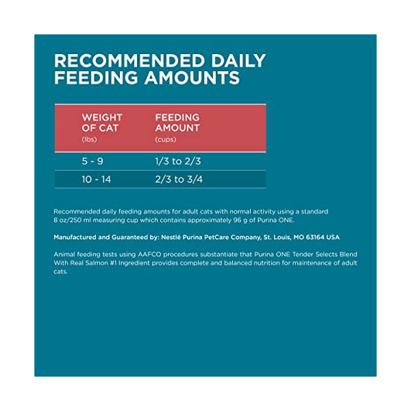 Purina ONE Dry Cat Food, Salmon & Tuna Flavor, 16-Pound Bag by – Bild 9