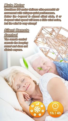 21'' Flush-Mount Ceiling Fan with Dimmable-Light Remote Control, Reversible-Motor, 6 Wind Speeds, Perfect for Bedroom, Living Room, Kitchen, Outdoor Gazebo, Patio, Low-Profile Design Retro Cage - Image 8