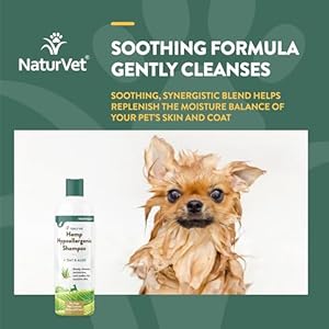 NaturVet Hemp Hypoallergenic Shampoo with Oat and Aloe for Dogs, 16oz Liquid, Made in The USA