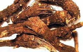 OSHA Root Whole - Wildcrafted - Ligusticum porteri (454g = One Pound) Brand: Herbies Herbs