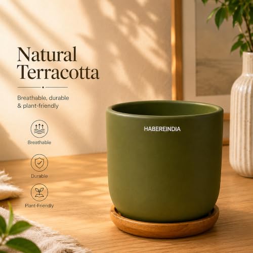 Image of Habere India-All the Cultures Fabricating India Plant Pot with Wooden Plate | Flower Pots for Dining Table & Home Decor | Terracotta Pot for Living Room Decoration (Olive, Dia11 x H10 cm)