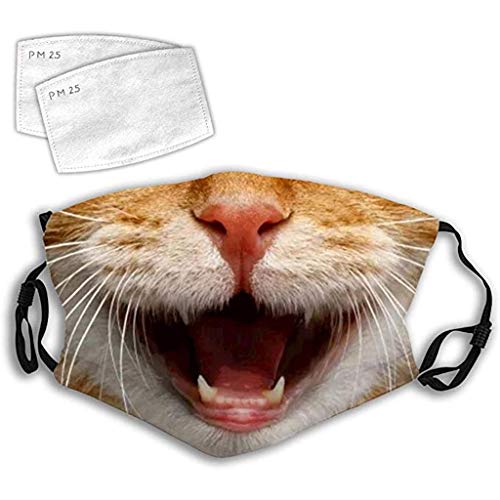 Preisvergleich Produktbild Resplend Waschbar Bandana, Katze Druck Face Cover Waschbar 3D Lustiger Tiergedruckter Atmungsaktiver Wiederverwendbarer Baumwolle Halstuch Mundschutz mit Austauschbar Filter