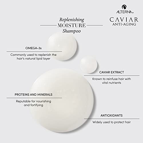 Alterna Caviar Anti-Aging Replenishing Moisture Shampoo and Conditioner Standard Set, 8.5oz each | Protects, Restores & Hydrates | Sulfate Free
