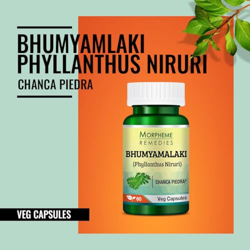 Morpheme Remedies Phyllanthus Niruri Bhumyamlaki 500 mg - 60 Veg Capsules