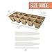 Peat Pots for Seedlings - 10 Seedling Trays with 100 Biodegradable Seed Starter Pots for Plants | Peat Pods for Seedlings Seed Starter Tray | Peat Moss Seed Starter Trays Seedling Pots -by Mr Sprout