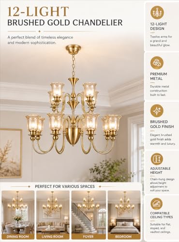 Image of Luxury Italian Chandelier Light, 12-Light Champagne Glass, Brass Finish for Dining Hall, Drawing Room, Lobby, Hall, Cafe, Hotel with Filament Bulbs, Gold
