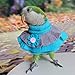 Bird Collar Anti Bite Elizabethan Recovery Cone, Bird Neck Protector for Feather Plucking, Bird Neckwear Full Body Shield, Bird Outdoors Windproof Cape Color Randomly (Green Quaker)
