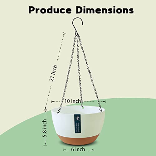 Timplxy 2 Pack Hanging Planters For Indoor Plants, With Drainage Holes And Removable Water Storage Tray, 10 Inch Plant Hanger With Pot For Garden Patio Lawn Balcony Porch #TOP3