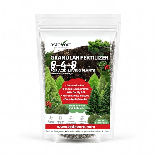 Image of ASTEVORA Evergreen Fertilizer - All-Purpose Granular Plant Food for Outdoor Trees and Shrubs, Azaleas, Magnolias, Pines & Arborvitae - Slow-Release Formula (4 quarts)
