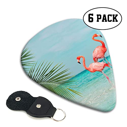 Flamingo In Water Lot de 6 médiators pour guitare acoustique, guitare électrique, basse, ukulélé – fins, moyens et épais… - Les Beatles, Paul McCartney, John Lennon, RIngo Starr, George Harrison Flamingo In Water Lot de 6 médiators pour guitare acoustique, guitare électrique, basse, ukulélé – fins, moyens et épais… – Image 3