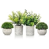 Photo Gallery niubebe piantine finte decorative con vasetto: pianta artificiali da interno, pianta finta per soggiorno, bagno, camera da letto, tavolo e decorazione per la casa (4 pieces) Photo Gallery niubebe piantine finte decorative con vasetto: pianta artificiali da interno, pianta finta per soggiorno, bagno, camera da letto, tavolo e decorazione per la casa (4 pieces)