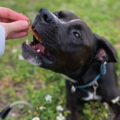 Beg & Barker Farmhouse Favorites Jerky For Dogs (10 Oz, Pack Of 3) - Natural Dog Treats Made In The Usa - Grain Free, Diabetic-Friendly, High Protein, Sugar-Free (Liver/Pork/Chicken Dog Jerky) #TOP3