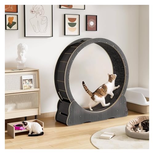 Lpgbh~A O\ȃJ[ybgƃLbgeB[U[tؐLp^zC[ }`J[ TCY(Black,L)