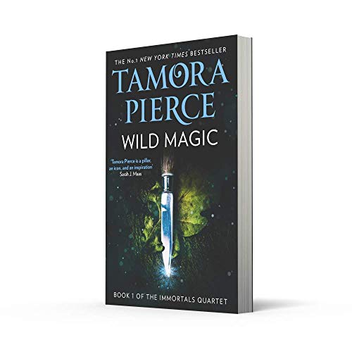 Wild Magic: A spellbinding fantasy epic