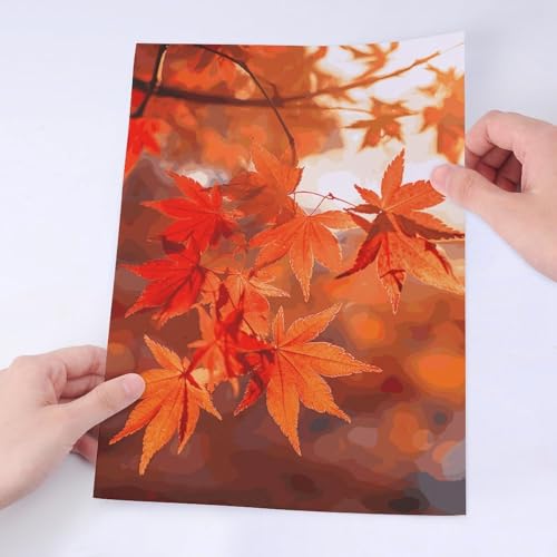 Autocollants mignons feuille d'érable imperméables pour gourde et décoration PC portable