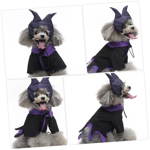 Disfraz de Bruja para Perro Halloween Talla M miniatura 5
