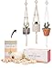 Macrame Kit - Makes 3 Macrame Plant Hangers with Easy to Follow Instructions for Adult Beginners - Includes 109 Yards 3mm Cotton Macrame Cord, Natural Wooden Beads & Custom Instruction Booklet
