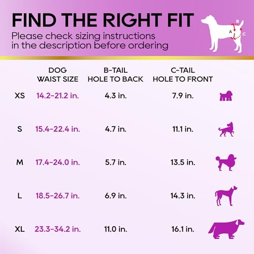 Image of HONEY CARE All-Absorb Disposable Female Dog Diapers Small Size, Improved, Super Absorbent, Breathable, Wetness Indicator,Small, 40 Count (Pack of 6)