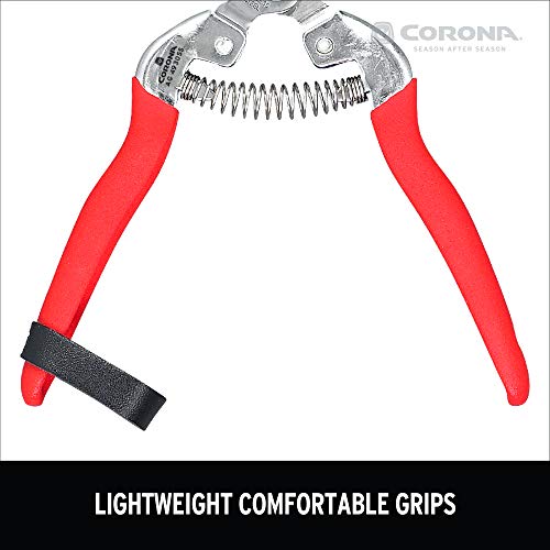 Corona AG 4930SS Long Straight, Stainless Steel Snip