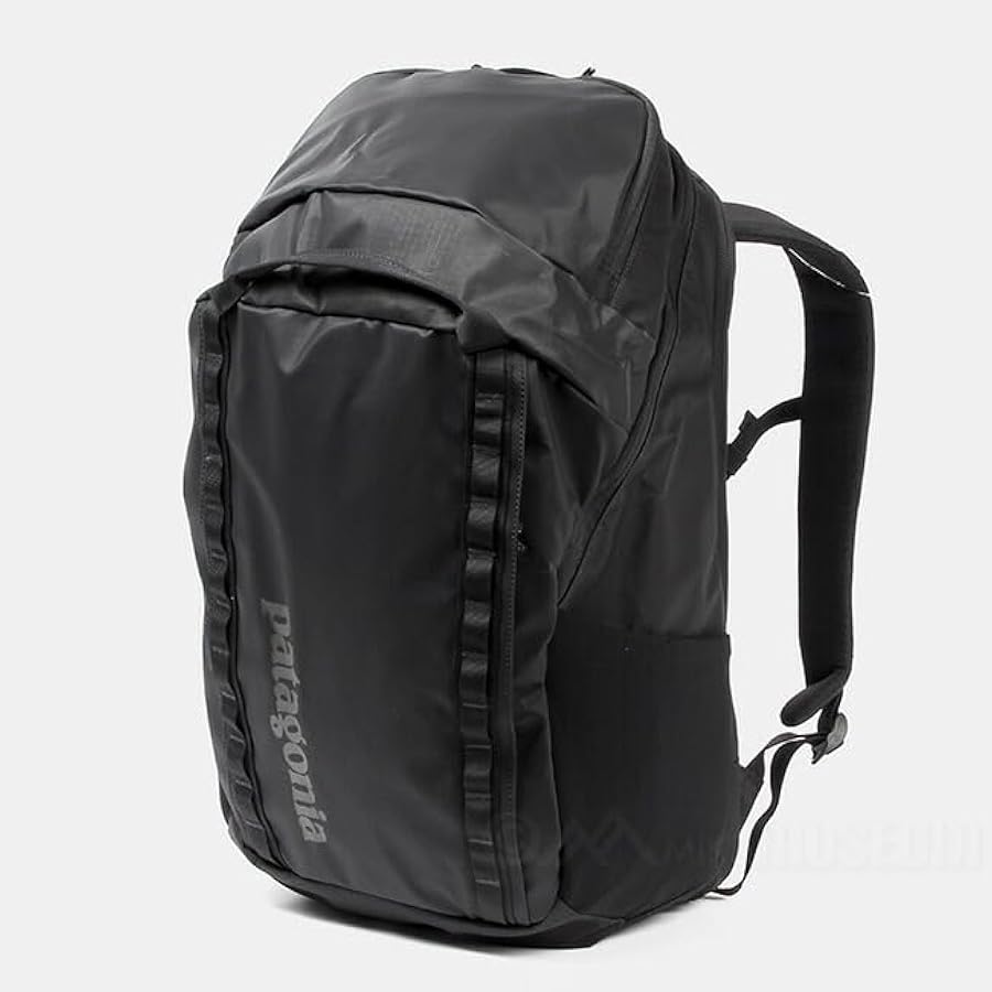 Amazon.co.jp: [パタゴニア] リュック ブラックホールパック 32L