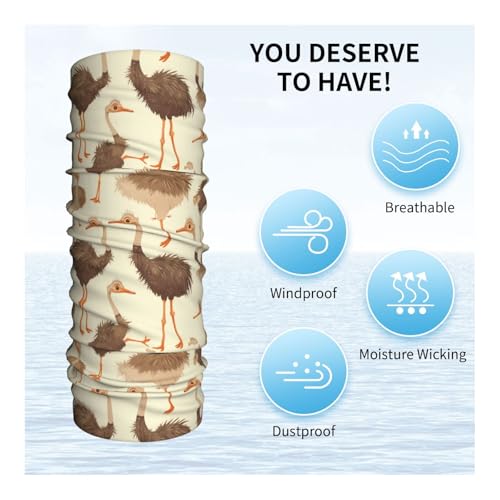 cute ostrich Printed Multifunctional sports headscarf Headband, face mask, wristband4