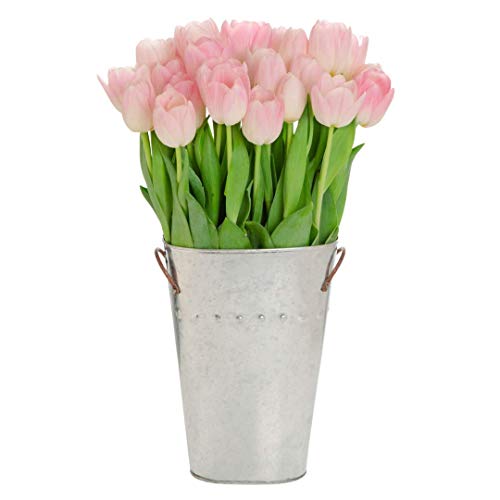 Stargazer Barn 30 Stems Of Light Pink Tulips With Vase