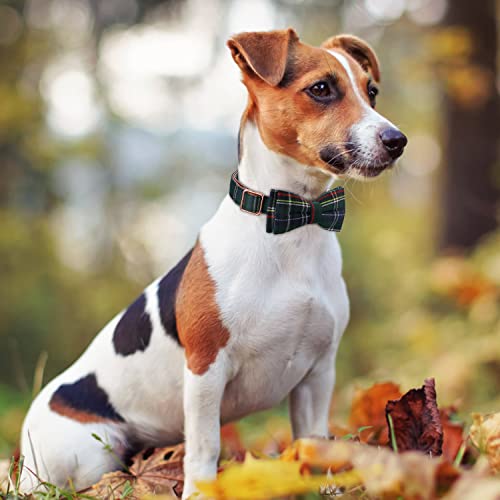 Newsofly Boy Girl Dog Collar With Bowtie, Adjustable Soft Collars With Metal Buckle,Cotton Designer For Small Medium Large Dogs (Small, Dark Green) #TOP2