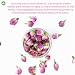 Imagen de Plant Gift 100% Puro Té de Rosa de Francia