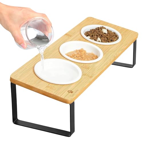 ybgH LH lR{E ˂GT X^h ˂H ybg {E t[hp X^h | ˂ ё ˂M i3̃{Ej