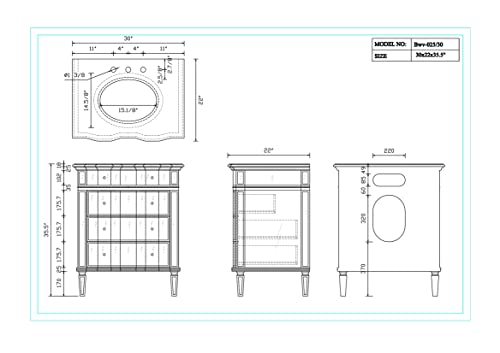 30" Benton Collection Mirrored W/Silver Trim Bathroom Sink Vanity Cabinet - Ashley Model # Bwv-025/30 #TOP2